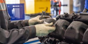 Understanding The Dutch Job Market cover