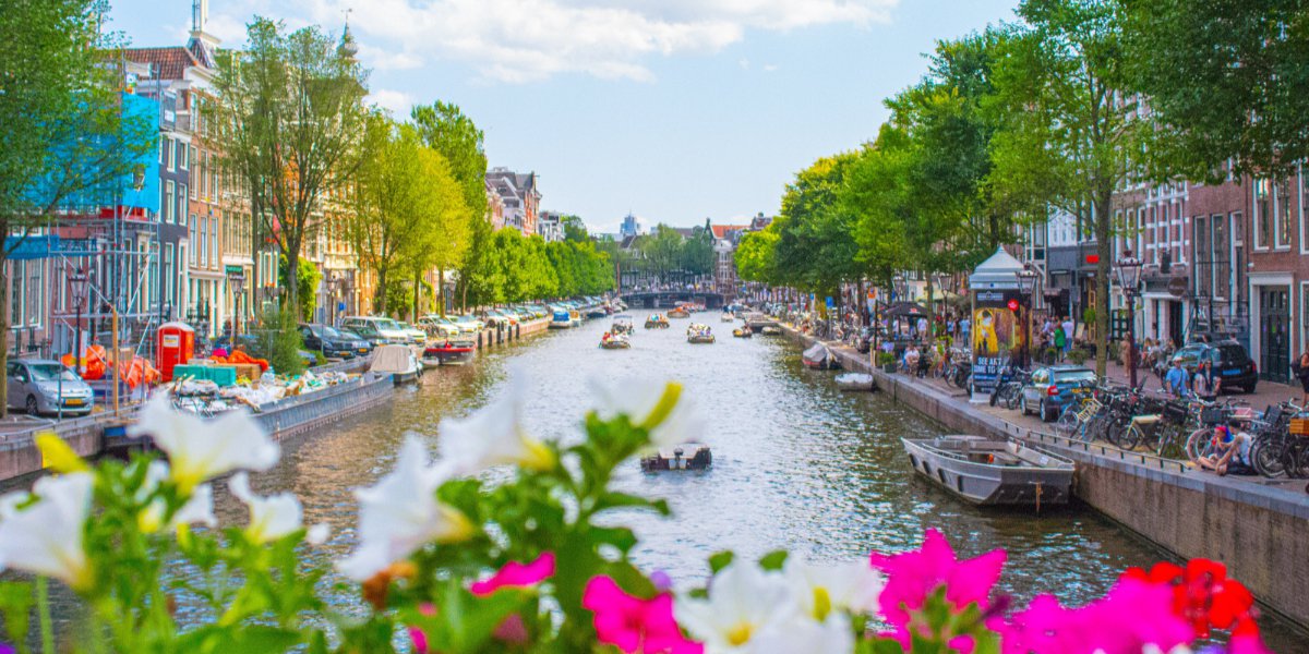 Understanding Your Rights To Social Security When Working In The Netherlands cover